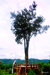 -四叶草环球旅拍