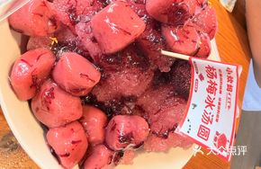 Bayberry Ice