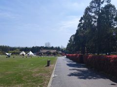 -东平国家森林公园