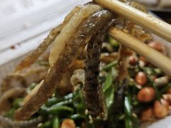 -陈添記·祖傳爽鱼皮·西关老字号(广州首店)