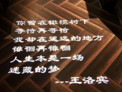 -纳瓦新疆菜(银都店)
