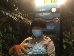 -侏罗纪世界电影特展(广州站)