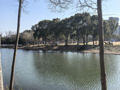 -新江湾城公园