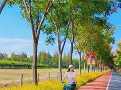 -上海长兴岛郊野公园