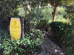 -深业半汤御泉庄温泉