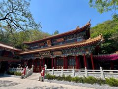 -高尔山公园