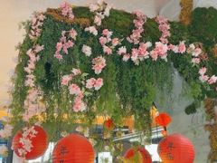 -阿露佳·舌尖上的安吉菜