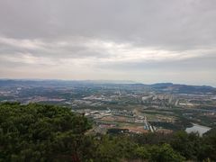 -金龙寺国家森林公园