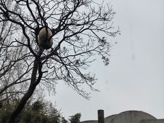 -北京动物园