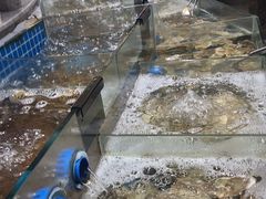 -汉阳廷自助烤肉·火锅(万丰海岸城店)