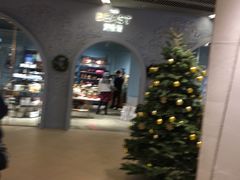 -BEAST野兽派(上海浦东嘉里城店)