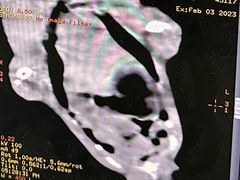 -爱侣宠医·鹦鹉专科·小型哺乳类·异宠专科(灵石路店)