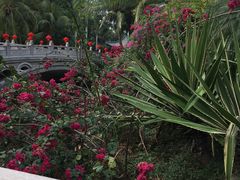 -三亚亚龙湾雅高美爵酒店