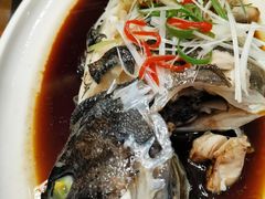 -大锅强·蒸海鲜青岛菜(吾悦广场店)