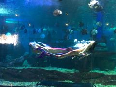 -石林冰雪海洋世界