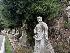 -武陵山森林公园