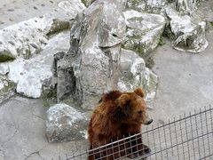 -成都动物园