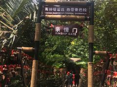 -呀诺达热带雨林