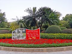 -金花茶公园