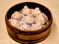 -莱莱小笼·乔艾