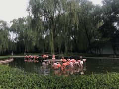 -石家庄市动物园