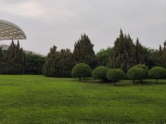 -石家庄市植物园
