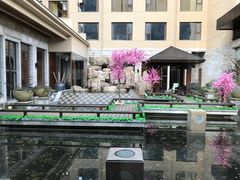 -三清山希尔顿度假酒店