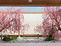-Blue Concept Cafe&Farm·關於藍