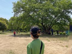 -南京市江宁方山