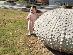 -上海滴水湖皇冠假日酒店