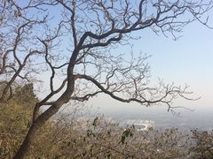 -北京鹫峰国家森林公园