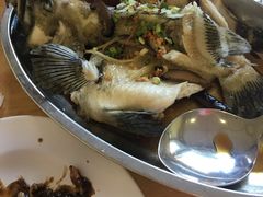 老虎斑-ZF Seafood Restaurant 卓峰海鲜餐