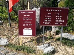 -千岛湖石林