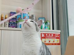 -瑞派康怡24h宠物医院·犬猫医疗中心·微创绝育(瑞景分院)