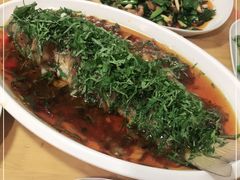 -老字号怡玺·藿香雅鱼(20年雅安店)