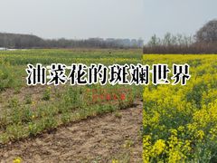 -汉长安城未央宫国家考古遗址公园