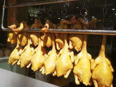 -茂名正宗化州香油鸡饭店(油城五路店)