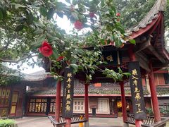 -峨眉山报国寺