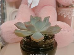 -KKV(深圳宏发大仟里店)