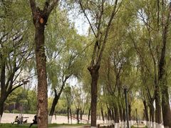 -汉口巷子(宝丰路店)