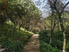 -南山植物园