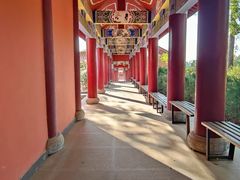 -素山寺森林公园