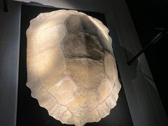 -金沙遗址博物馆