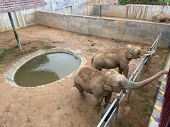 -西霞口神雕山野生动物世界