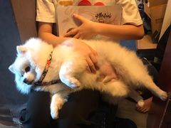 -伽利略剧本探案馆(国贸店)