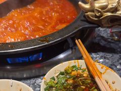 -蜀大侠火锅(总府路店)