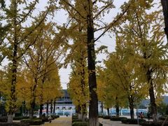 -百林公园-两江幸福广场