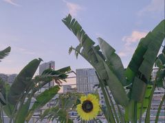 -天空花园餐吧·生日·团建(南山店)