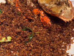 -喜记避风塘炒辣蟹(旗舰店)