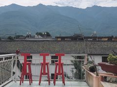 -喵屿·大理花园猫咖